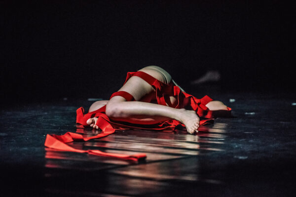 DSC_7001-a-M.Zakrzewski-s